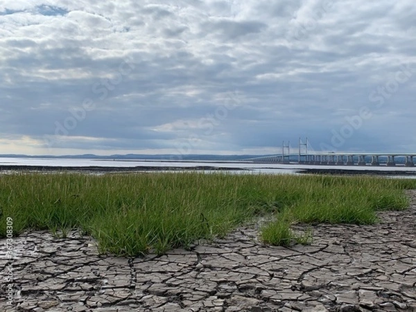 Obraz path to the sea