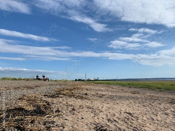 Obraz farmer in field