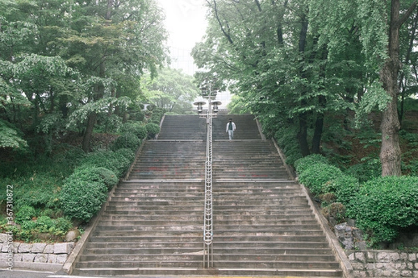 Fototapeta 중앙대 도서관 계단