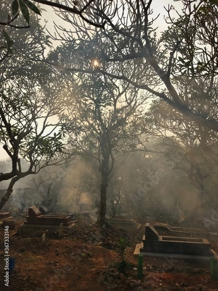 Fototapeta Scary cemetary with fog and trees. Graveyard, tomb, burial, and creepy trees