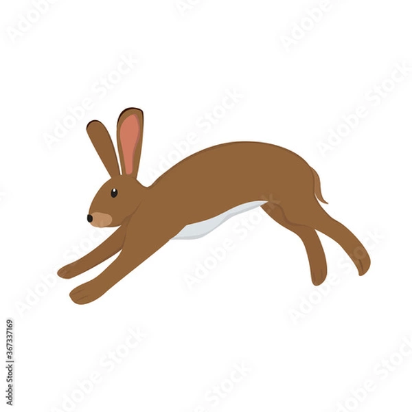 Obraz Hare Illustration