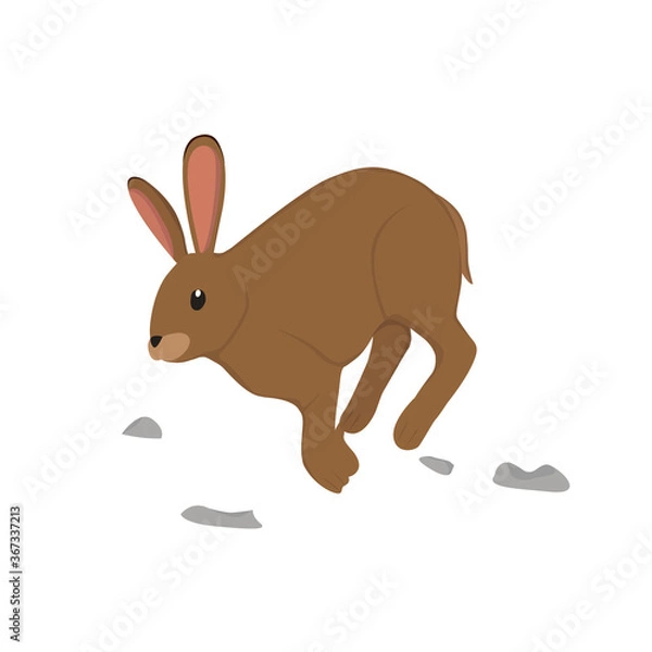Fototapeta Hare Illustration