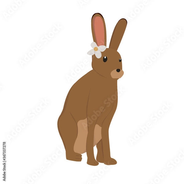 Obraz Hare Illustration