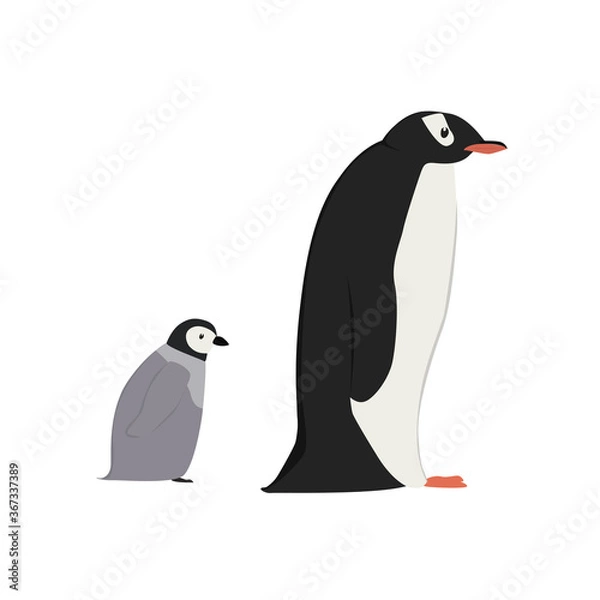 Obraz Penguin Illustration