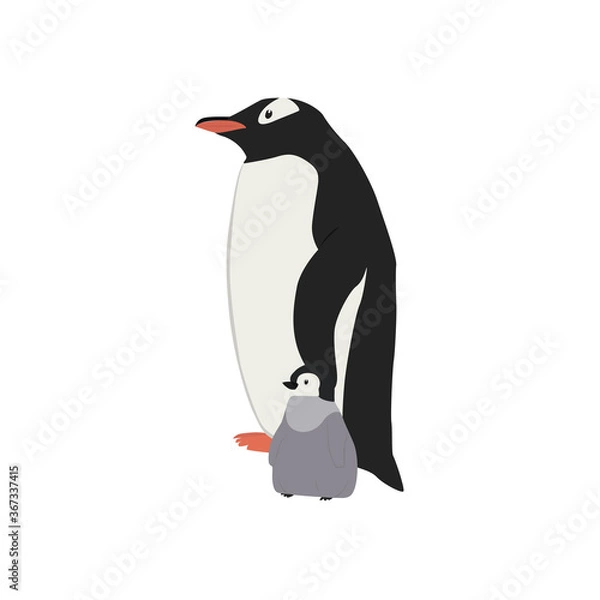 Obraz Penguin Illustration