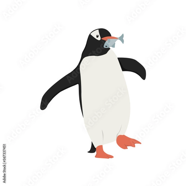 Obraz Penguin Illustration