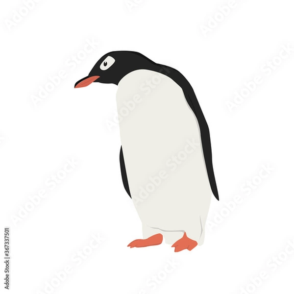 Obraz Penguin Illustration