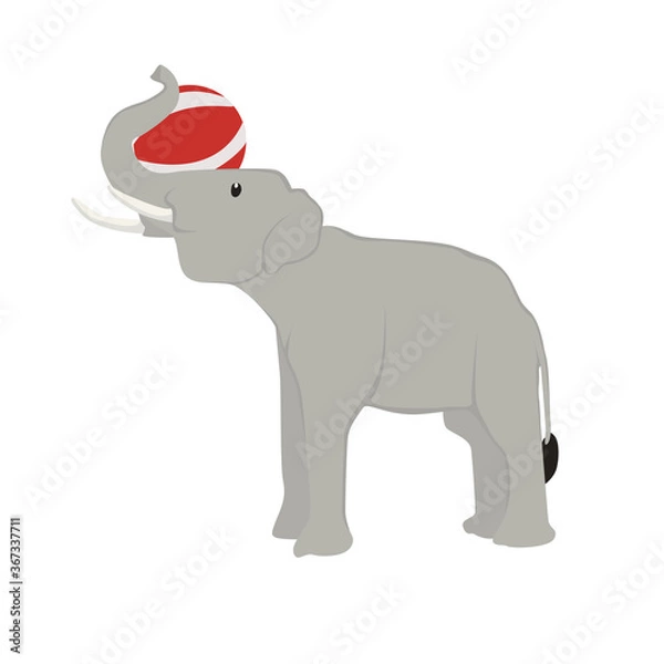 Obraz Elephant Illustration