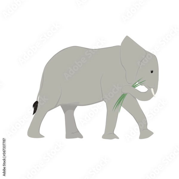 Obraz Elephant Illustration