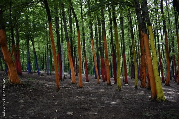 Fototapeta Painted tree forest