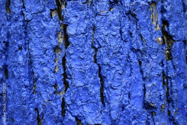 Fototapeta bark of a tree