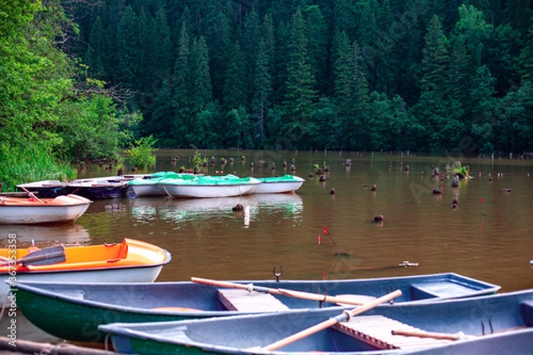 Fototapeta A beautiful view of the Red lake. Bicaz. Carpathians. Romania.