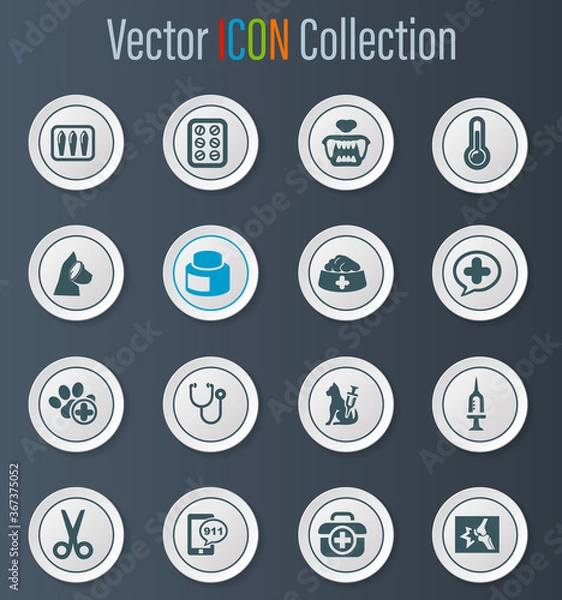 Obraz Veterinary clinic icons set