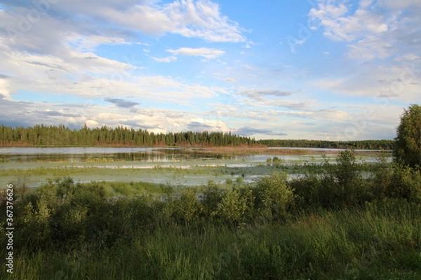 Fototapeta Summer Evening On Astotin Lake, Elk Island National Park, Alberta