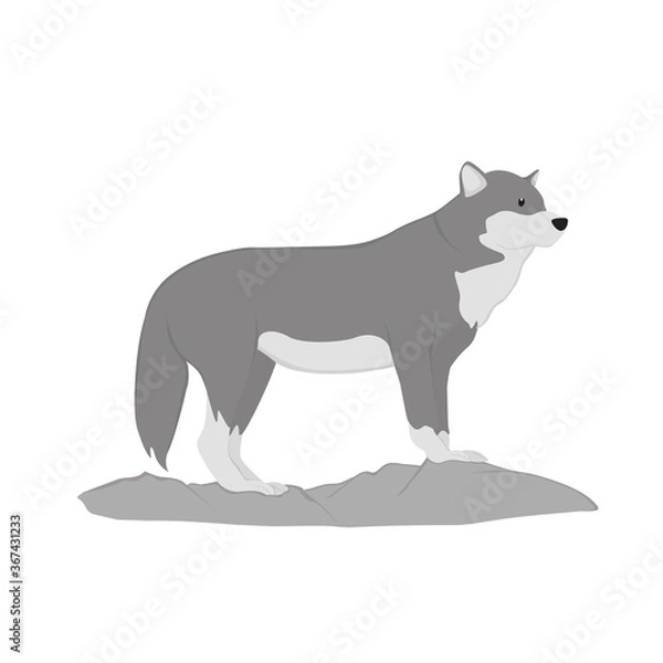 Obraz Wolf Illustration