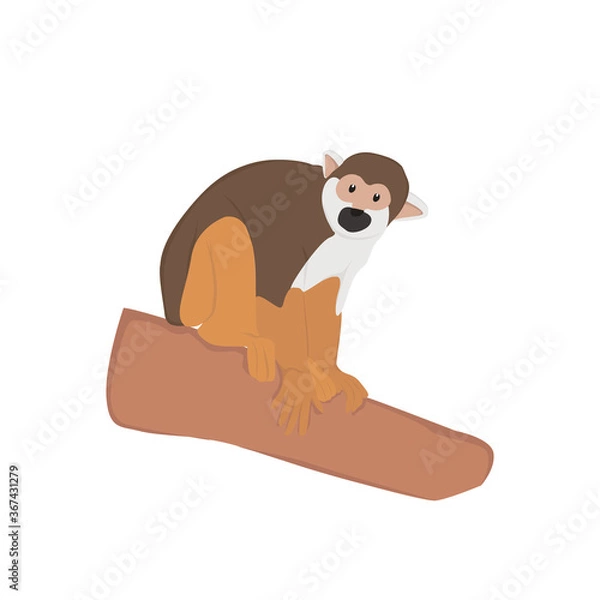 Obraz Squirrel Monkey Illustration