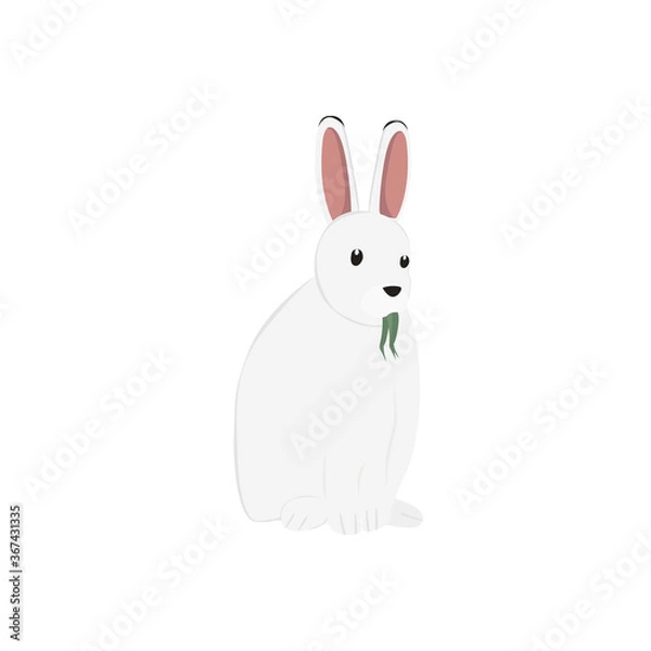 Fototapeta Arctic Hare Illustration