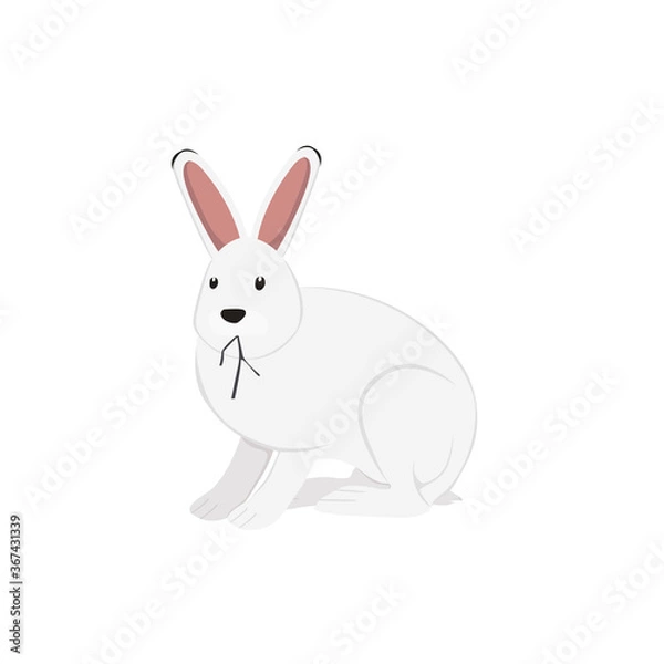 Obraz Arctic Hare Illustration