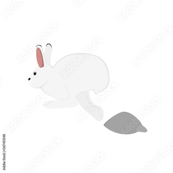 Obraz Arctic Hare Illustration