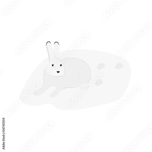 Obraz Arctic Hare Illustration