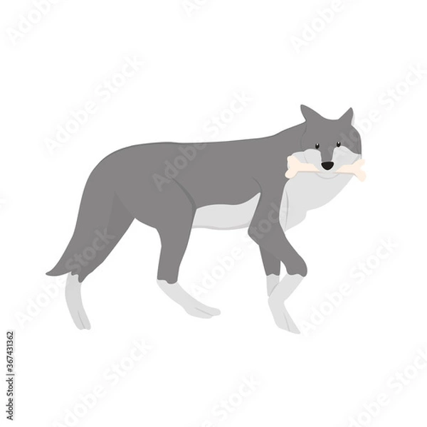 Obraz Wolf Illustration