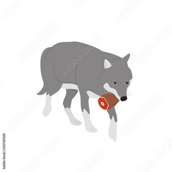 Obraz Wolf Illustration