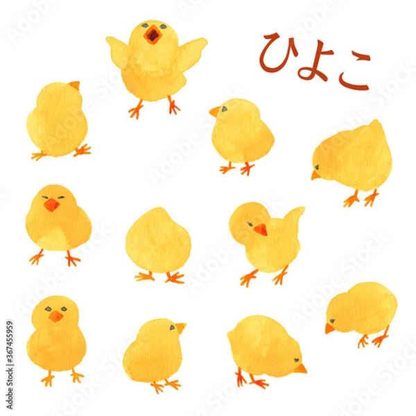 Obraz ひよこ