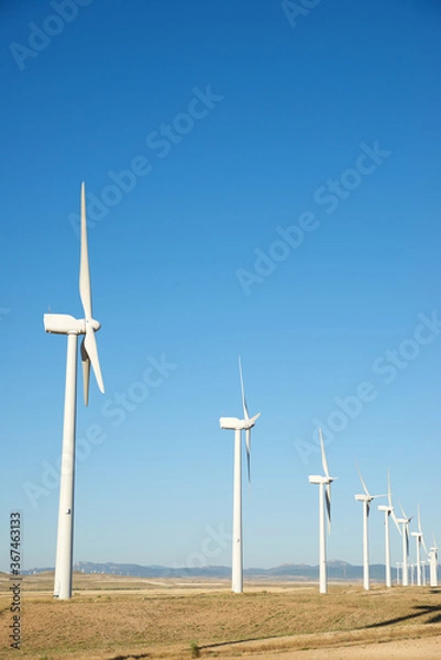 Obraz Sustainable wind energy concept