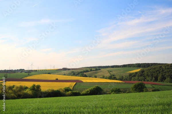 Fototapeta frühlingslandschaft