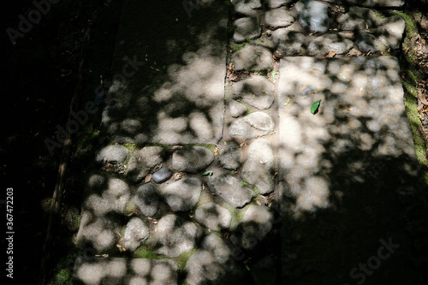 Obraz 石畳と木漏れ日