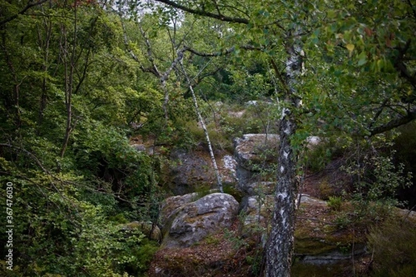 Fototapeta rocks with trees