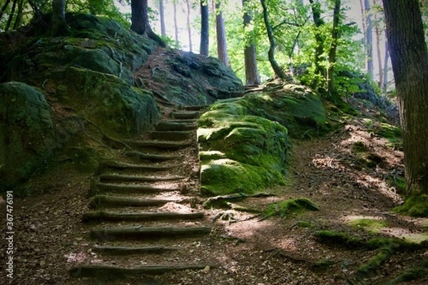 Fototapeta wooden path in the forest