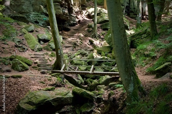 Obraz old wooden bridge