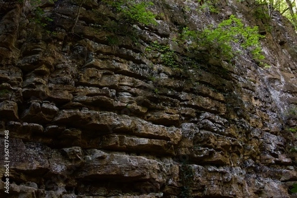 Fototapeta rock wall in forest
