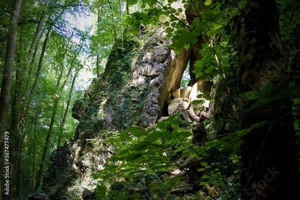 Obraz rocks in forest