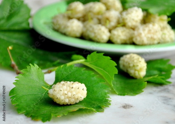 Obraz White mulberries