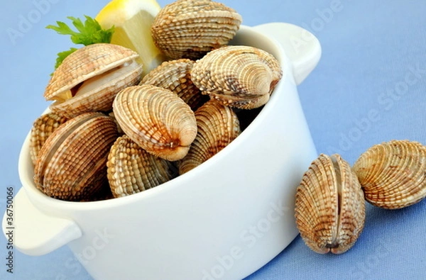 Obraz Fresh mediterranean clams