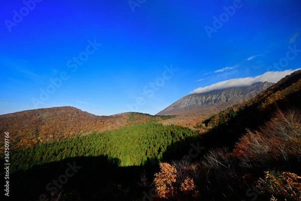 Fototapeta 秋の大山