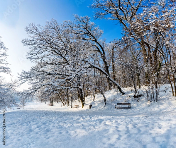 Fototapeta Beautiful park on a sunny snow cold day in Zagreb, Croatia