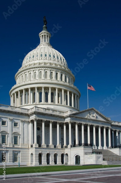 Obraz Capitol building,  Washington DC