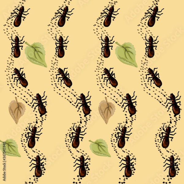 Obraz pattern with ants, ant path
