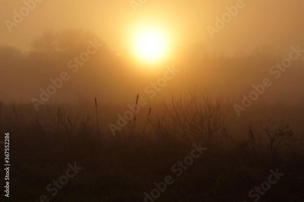 Obraz Sunset in fog