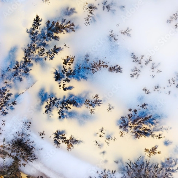 Fototapeta Dendrite crystals macro