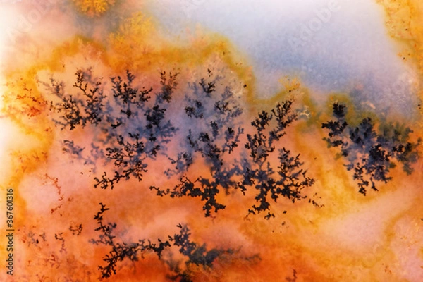 Fototapeta Moss Agate with Crystals Dendrite