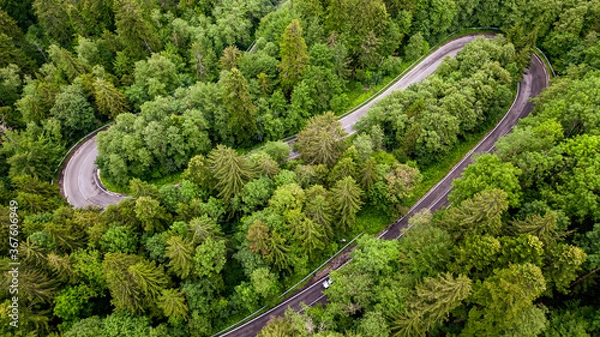 Fototapeta A winding road visible from the air, between green forests