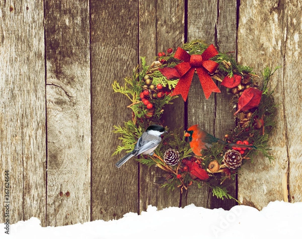 Obraz Rustic Christmas wreath with a pretty bird perched inside.