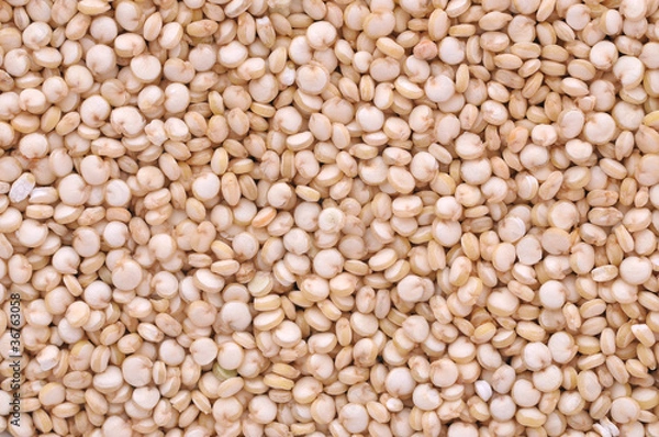 Obraz Quinoa