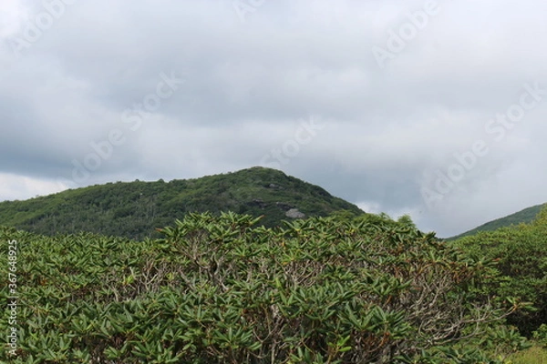Fototapeta landscape with clouds