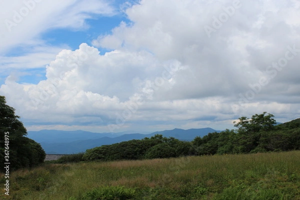 Fototapeta clouds over the forest