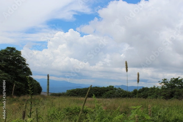 Fototapeta clouds over the field